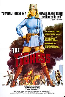 集团网站建设优化方案